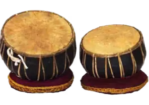 ज्व: नगडा