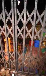 DSC_0202